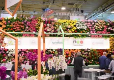 For the first time under the banner of Breeding Accel, Schoneveld Breeding, Sion, KP Holland, Royal van Zanten and Interplant Roses were at the fair together. Previously, they had done joint research but never before were they together at the fair.